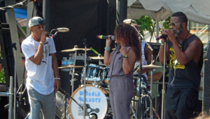 Image of Digable Planets (21 and Over)