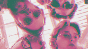 Image of Glitterfox