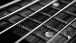 Image of Nick Moss Band